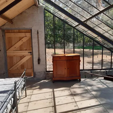 Natuurslaapkamer De Zaadeest Boskamer