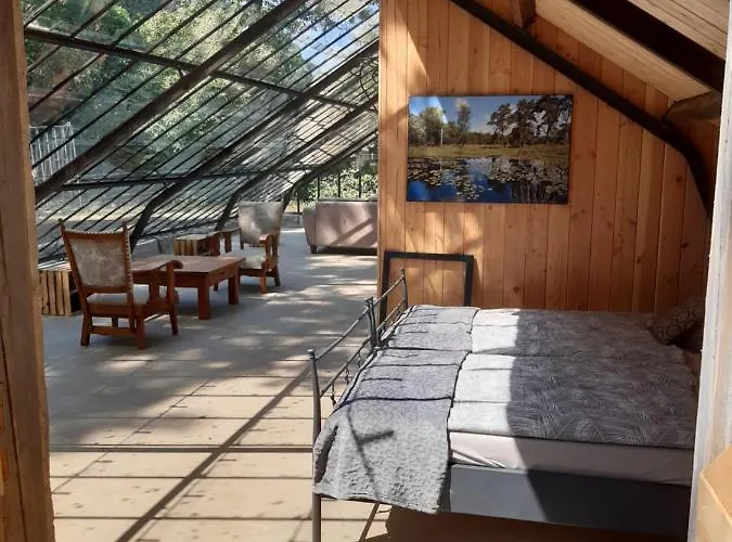 Natuurslaapkamer De Zaadeest Boskamer *