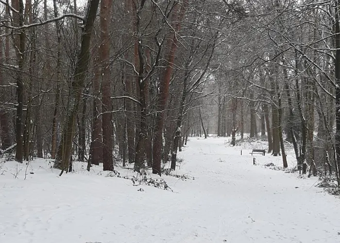 Natuurslaapkamer De Zaadeest Boskamer Lomm