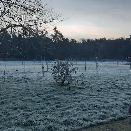 Natuurslaapkamer De Zaadeest Boskamer Casa de Campo