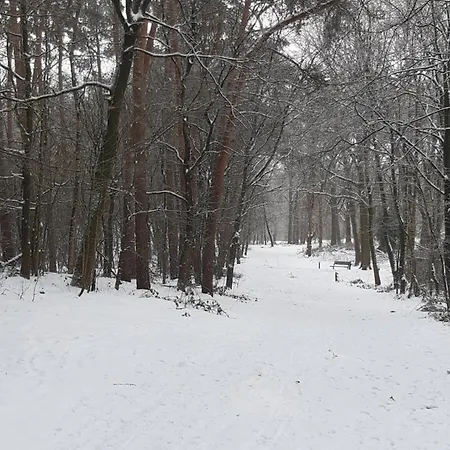 Natuurslaapkamer De Zaadeest Boskamer Lomm